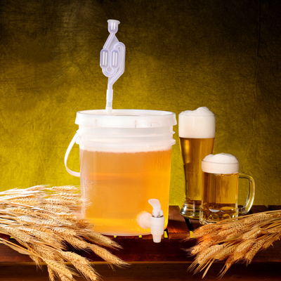 5L 10L 20L secchio di fermentazione trasparente per la trasformazione domestica tipi di birra