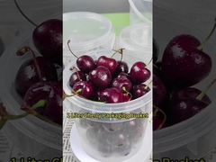 Contenitore di stoccaggio trasparente per latte condensato, miele, gelato, gelati alimentari